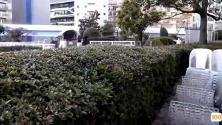 智能酒店身材与体位的完美契洽·1